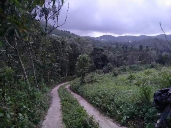 Tharayil Farm Stay Vagamon Exteriér fotografie