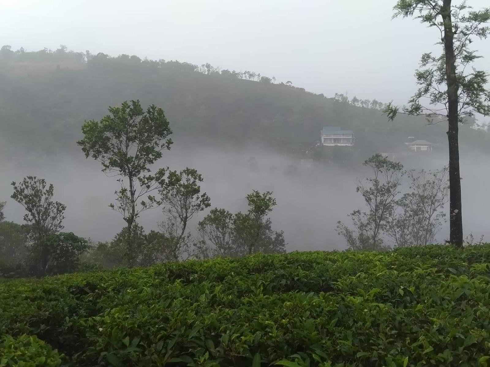 Tharayil Farm Stay Vagamon Exteriér fotografie