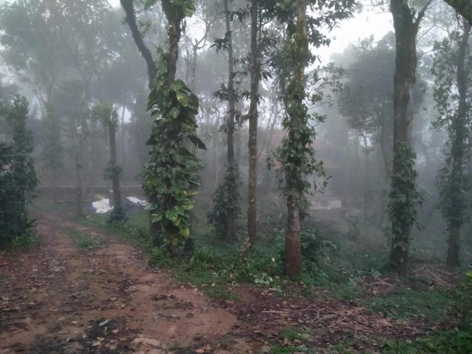 Tharayil Farm Stay Vagamon Exteriér fotografie