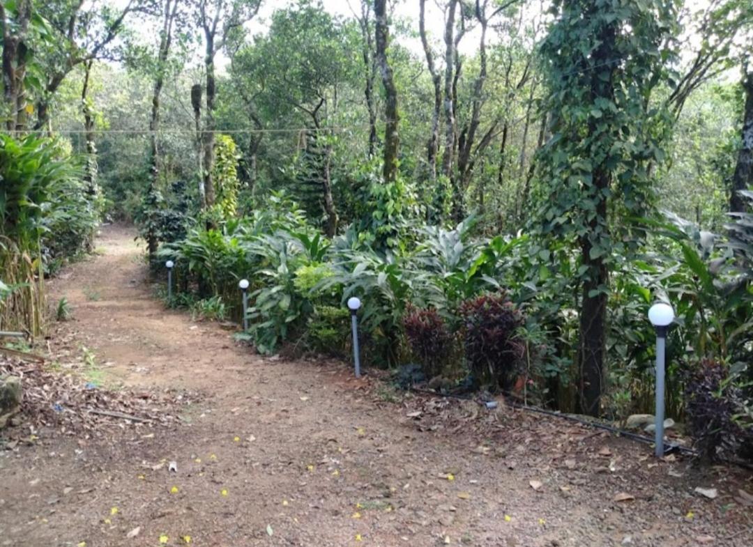 Tharayil Farm Stay Vagamon Exteriér fotografie