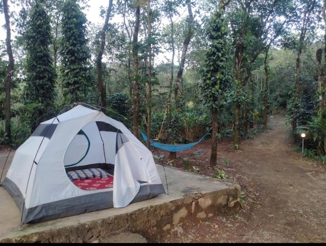 Tharayil Farm Stay Vagamon Exteriér fotografie
