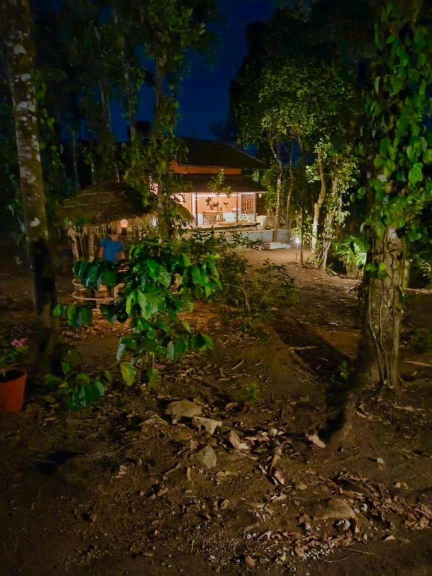 Tharayil Farm Stay Vagamon Exteriér fotografie